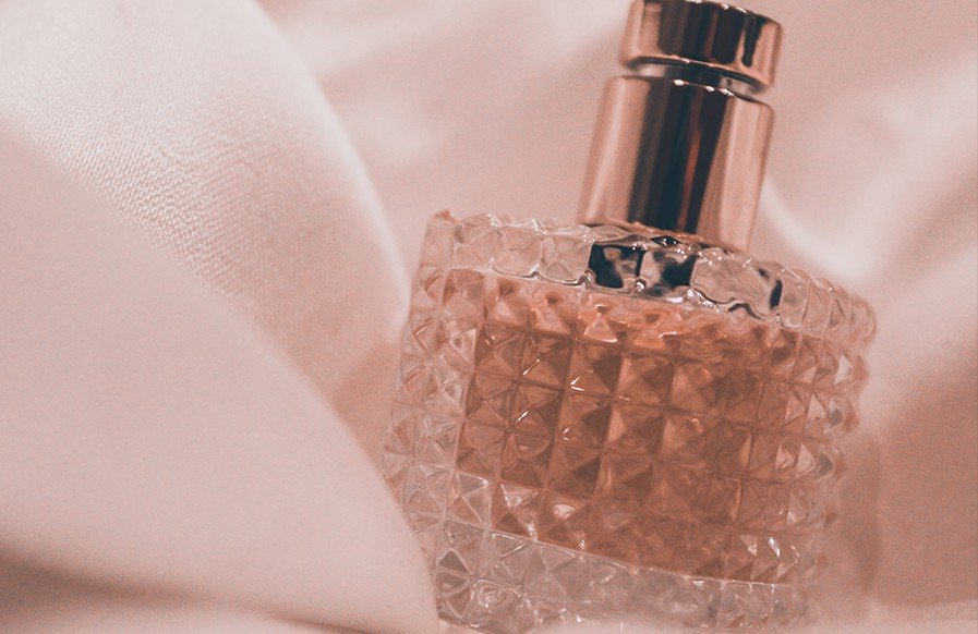 Morbi condimentum molestie Nam